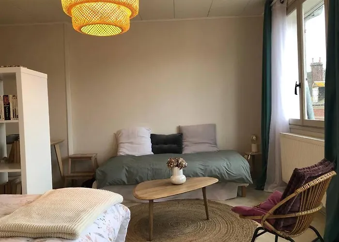 Grand Studio Avec Petite Vue Mer
